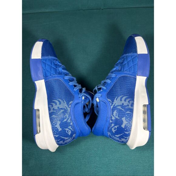Nike LeBron Witness 8 TB Game Royal Blue White FB9944-401 Men’s Size 12 main image 7